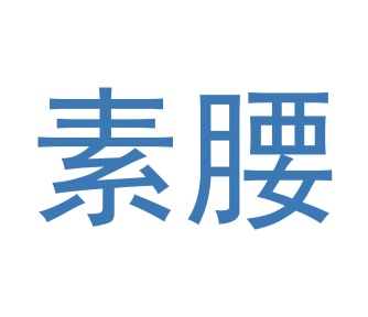 第9类商标科技仪器-素腰商标转让