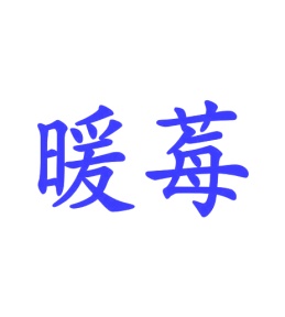 第16类商标文具办公-暖莓商标转让