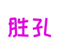 第35类商标广告商业-胜孔商标转让